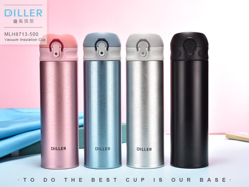 Diller thermos Vacuum Insulated water bottle sus 316 stainless steel 480ml MLH8713
